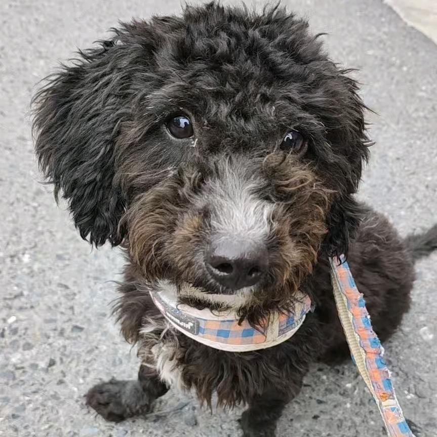 90后在义的摆摊日记