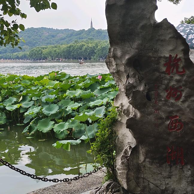 四十不惑