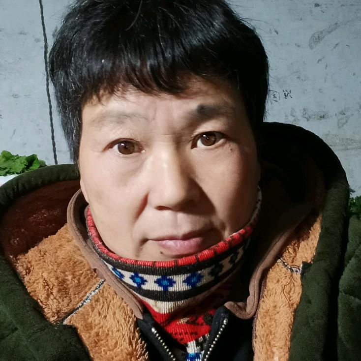 美丽的港湾