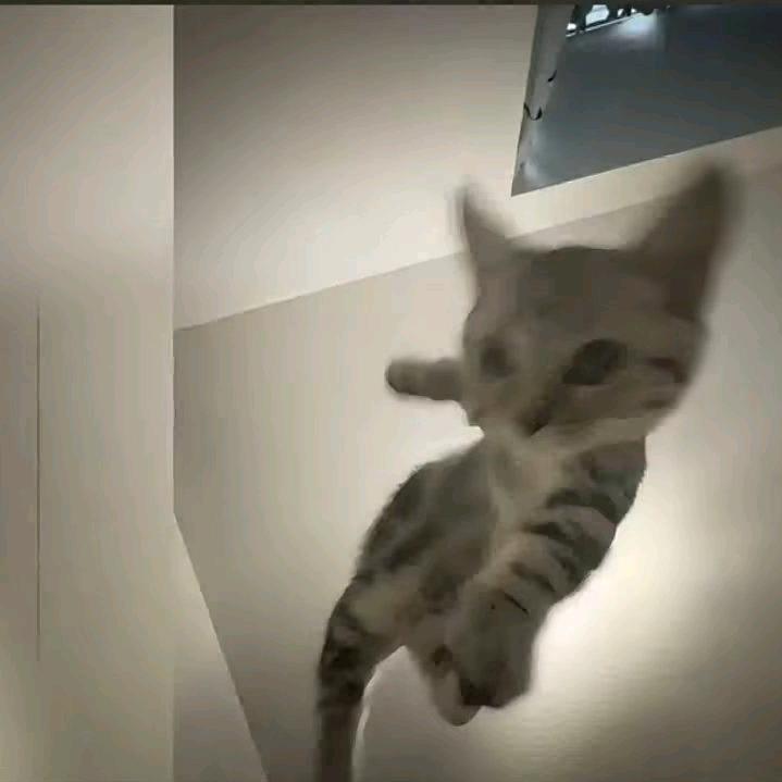麟粦琳