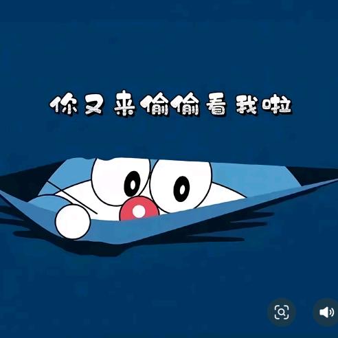 半个朋友