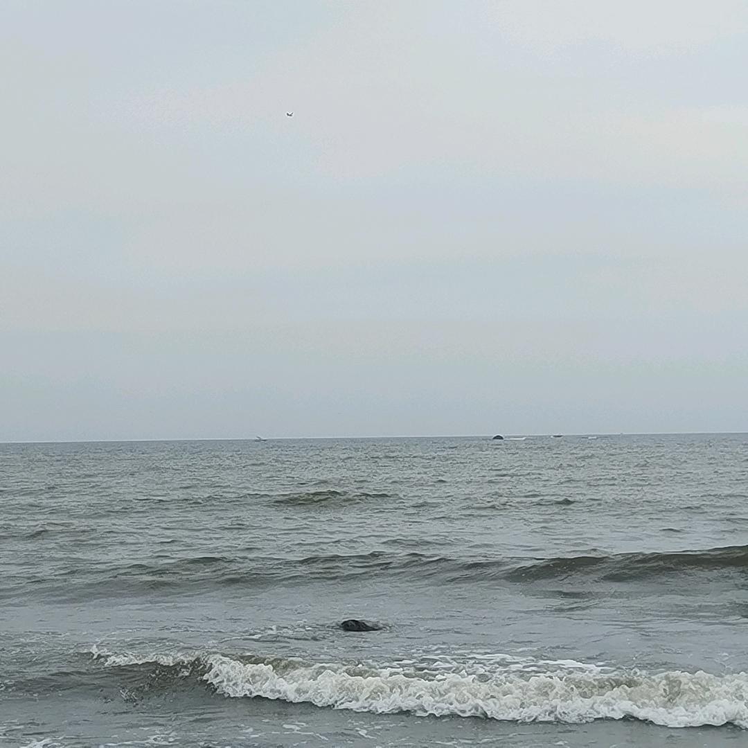 景娣