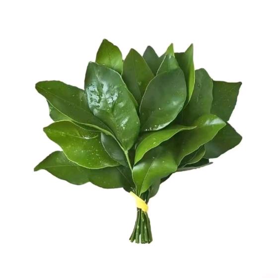 小啥啊这是呀～