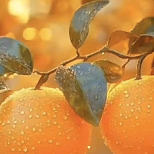 ℒᎭℯ⃝齐心协李