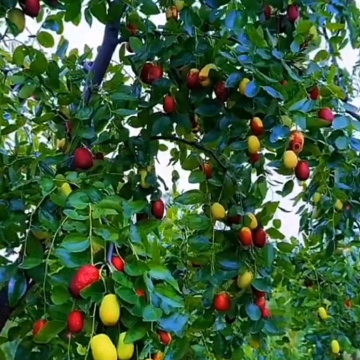 幸福平安