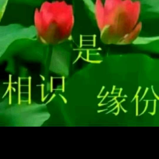 づ❤️秋风❤️ど