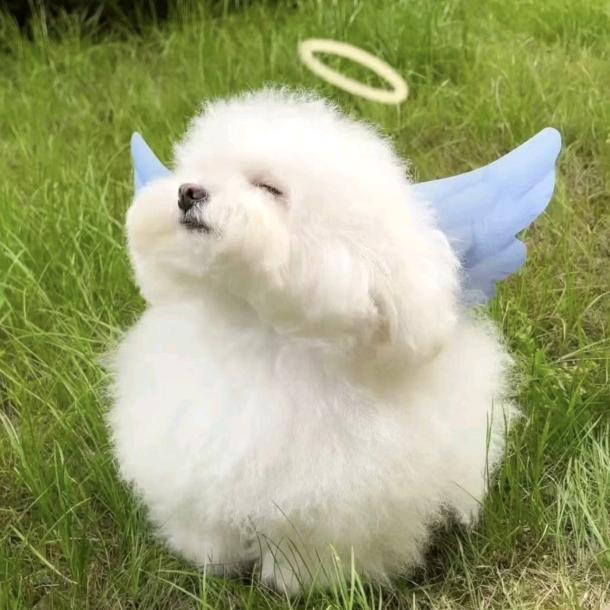 世俗里睡一觉（张艺兴戒断版）