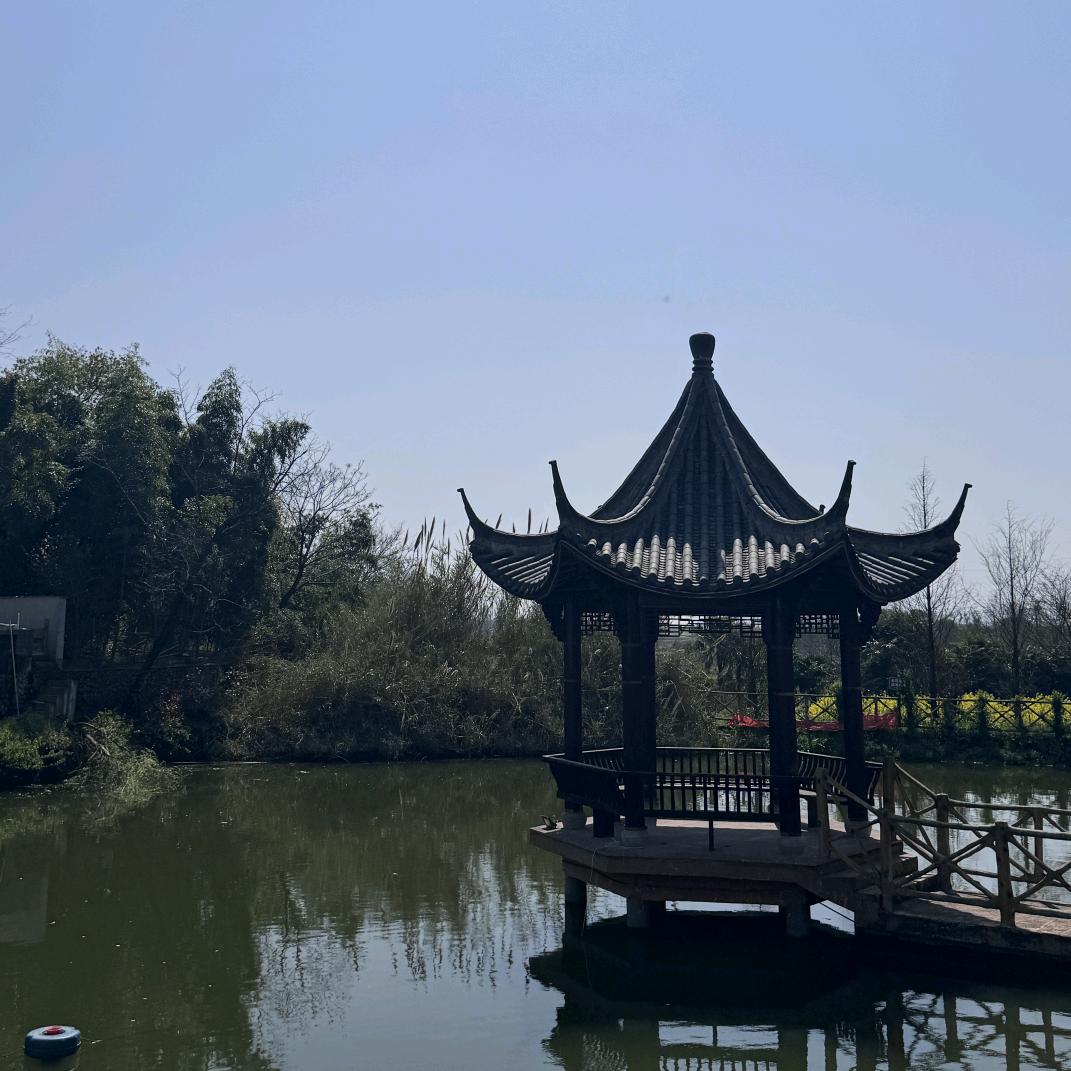 迷人的苹果香气