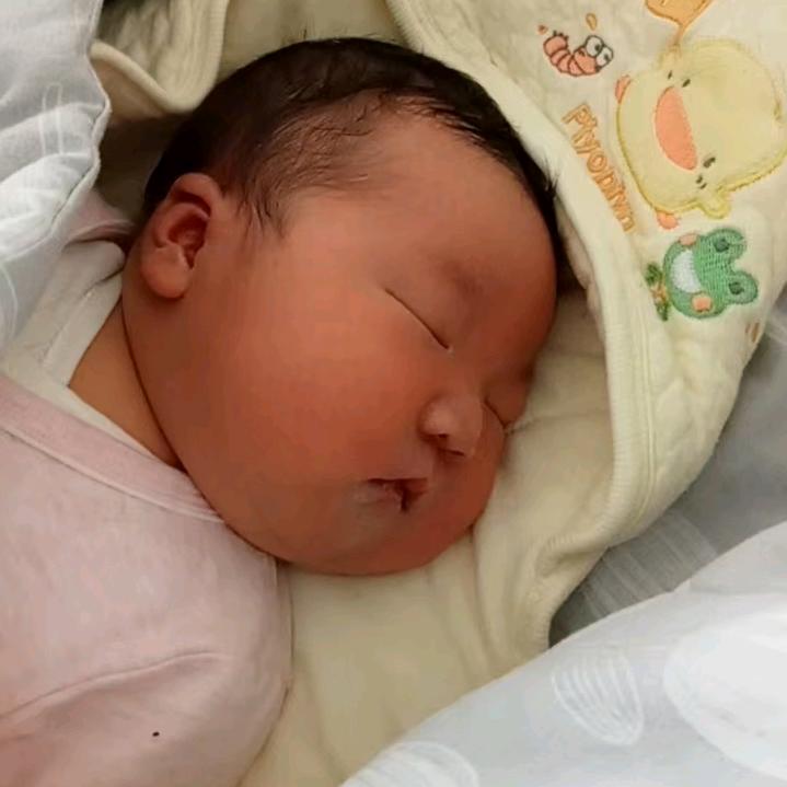 提示；因直播内容低俗五分钟后将强制下播