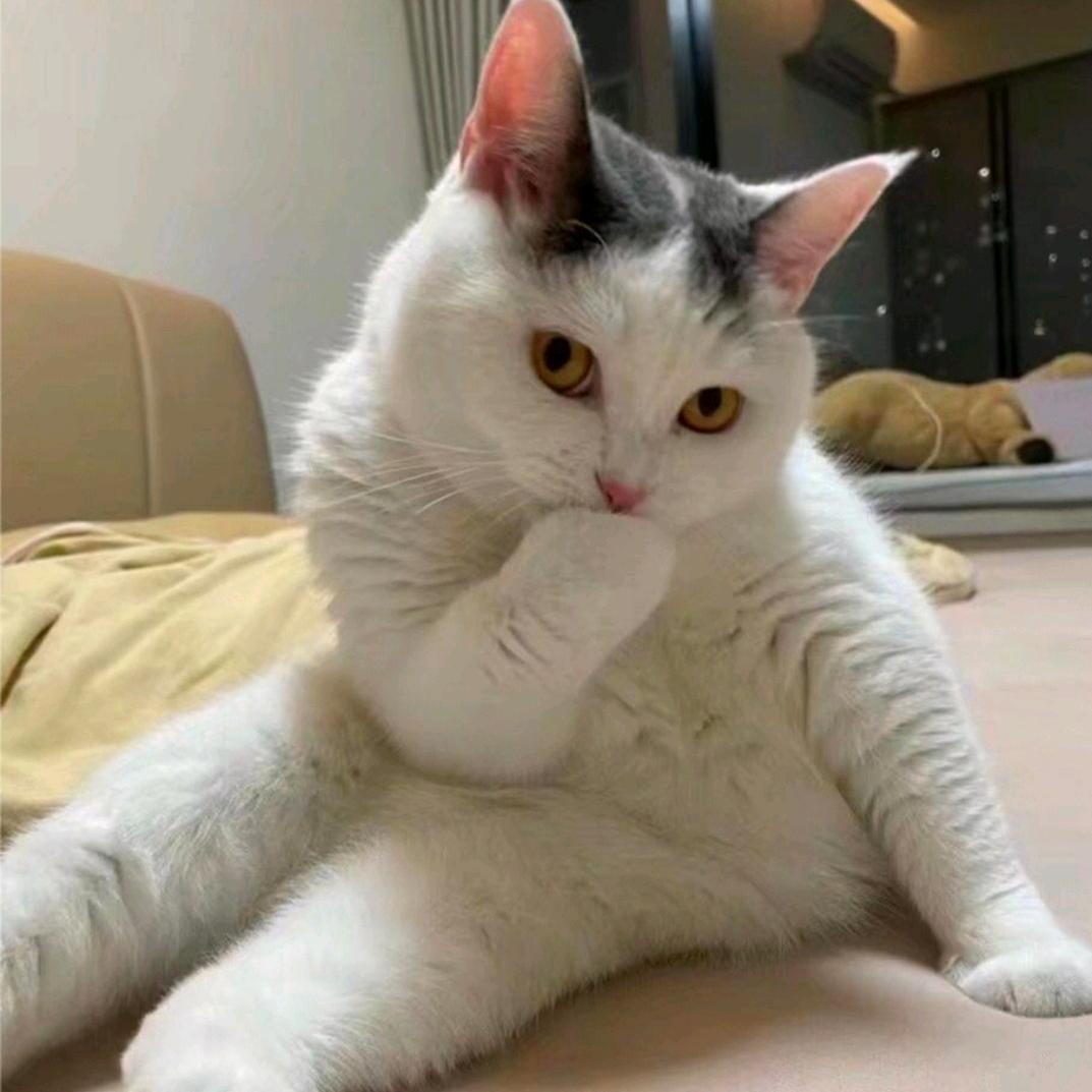 ༺༽༾ཊ老公ཏ༿༼༻