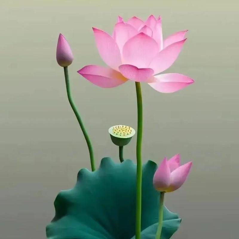 南陀微姐姐