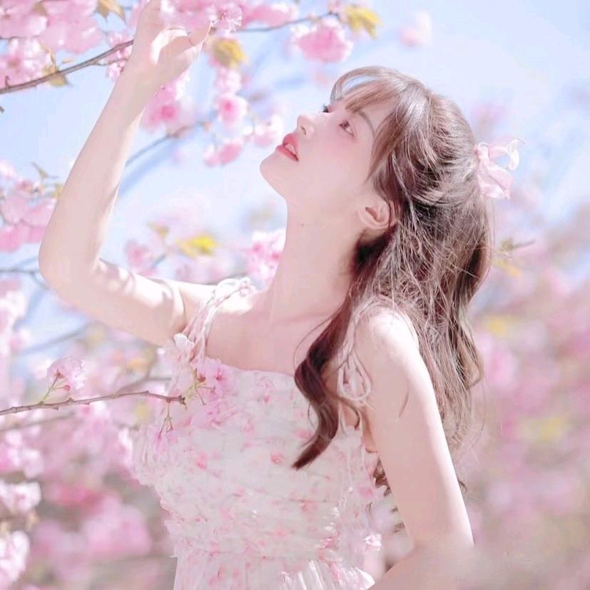 仙贝℘软糖