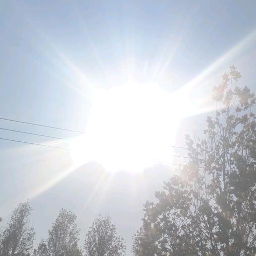 ☀️阳光照进来