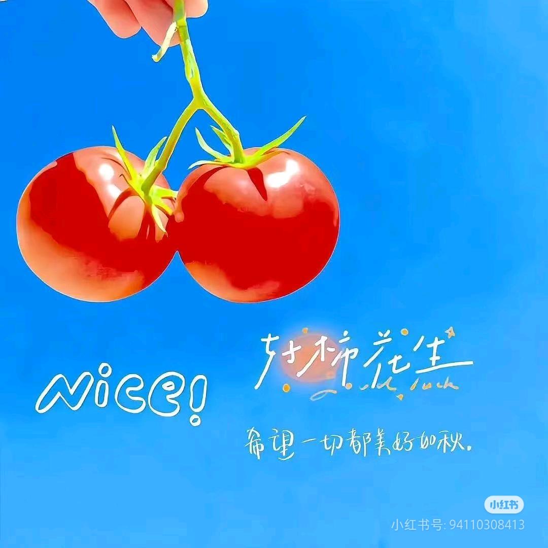 爆爆向前冲🤩