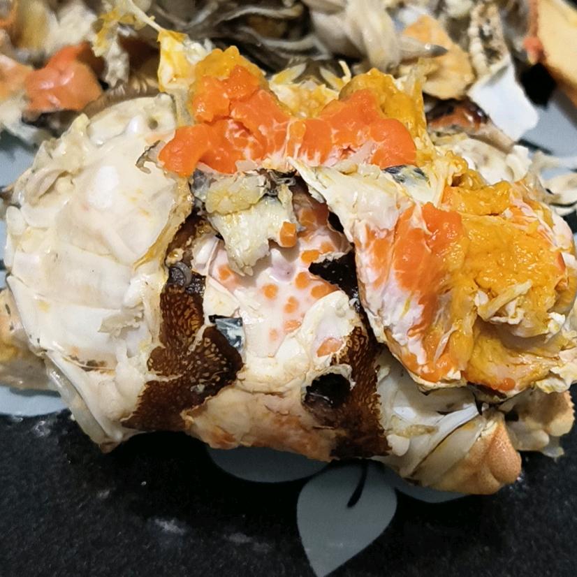 小夏精品大闸蟹