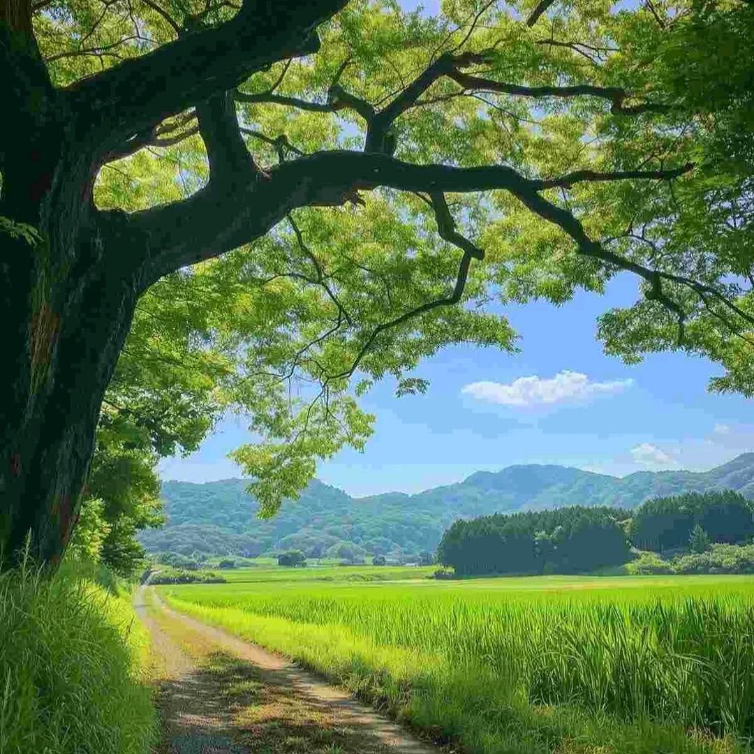 吖頭