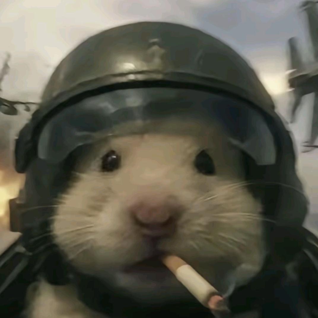 面包小狗（su7车主版）