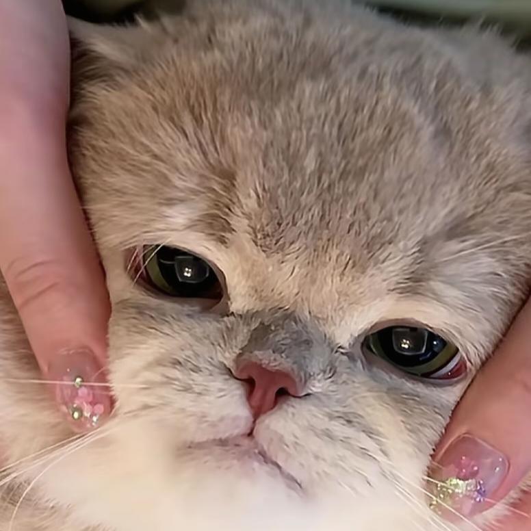 不二（三角洲手游）