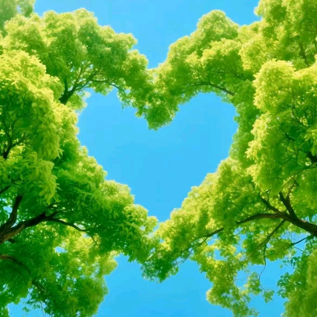 水细长流，杨哥！🏃🌻