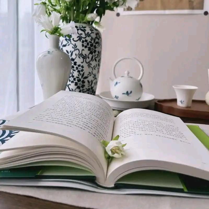 页页读书