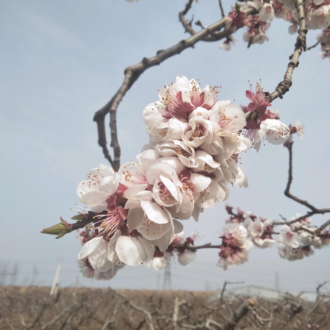 时间不语却回答了所有问题