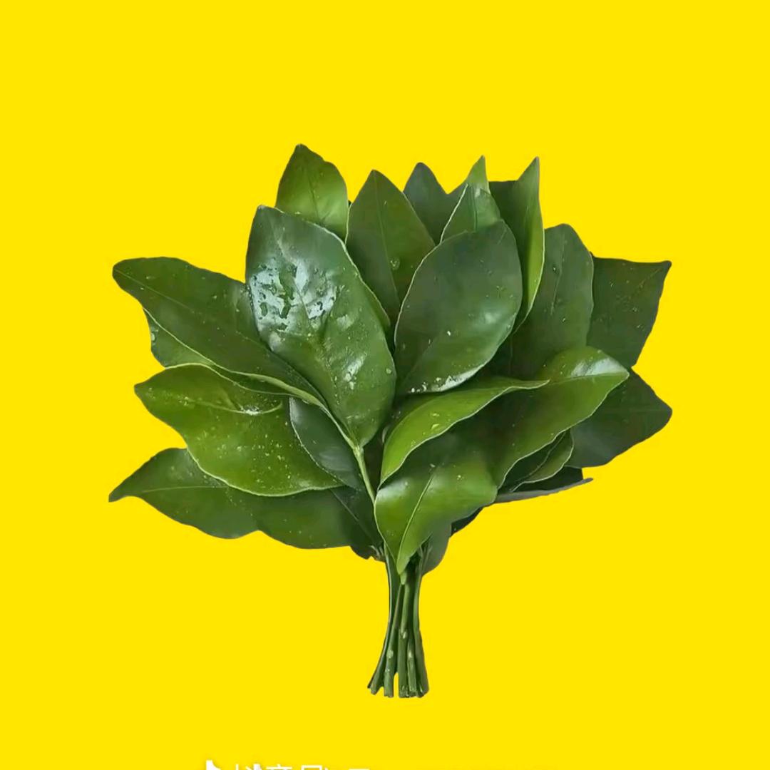 大涵想胖