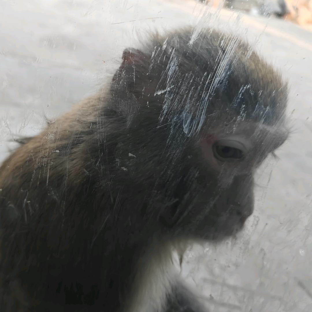 黑暗大美