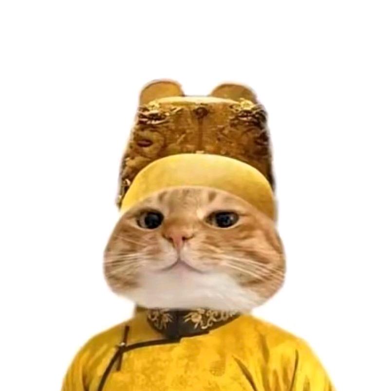 唯爱吃炸鸡