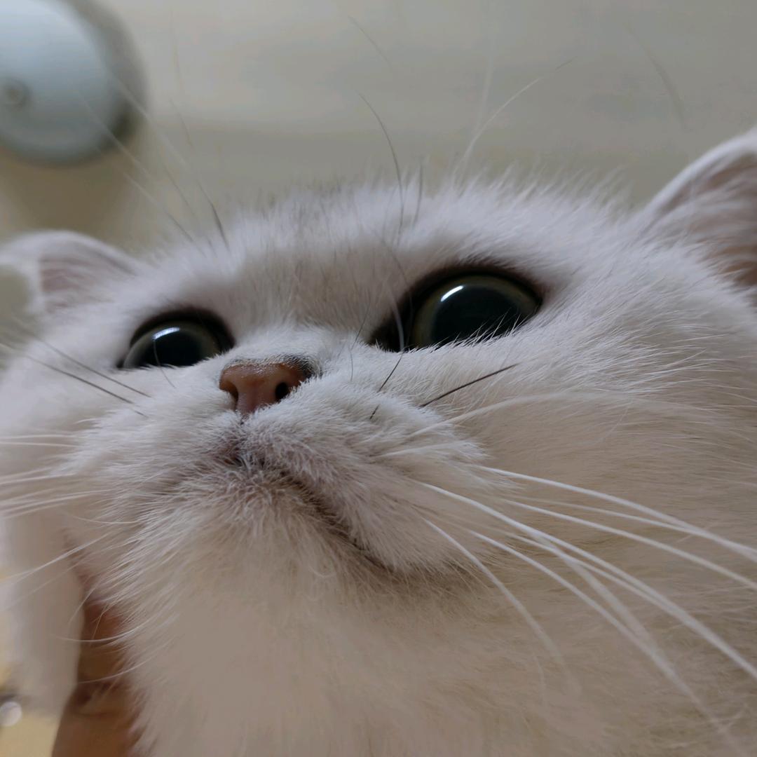 老公穿我的黑丝蕾丝内衣在外做0