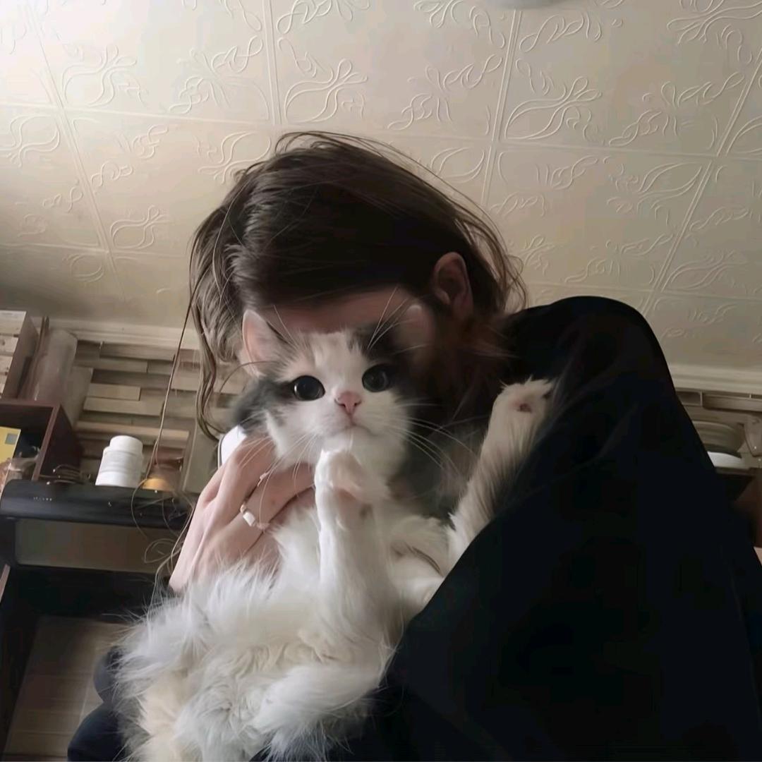 幻想名将录—猫酥酥