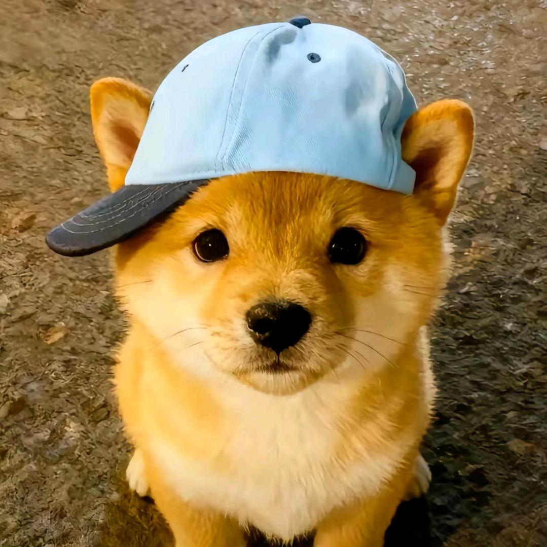 不想说话(◞‸◟ )