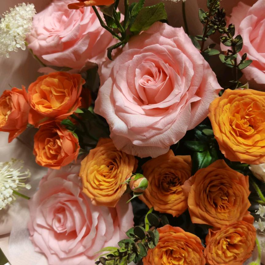 @我的乖乖🐶熊