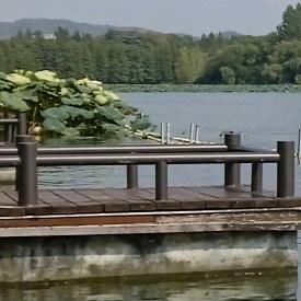 屲仚屳冚，蒲莲静慧