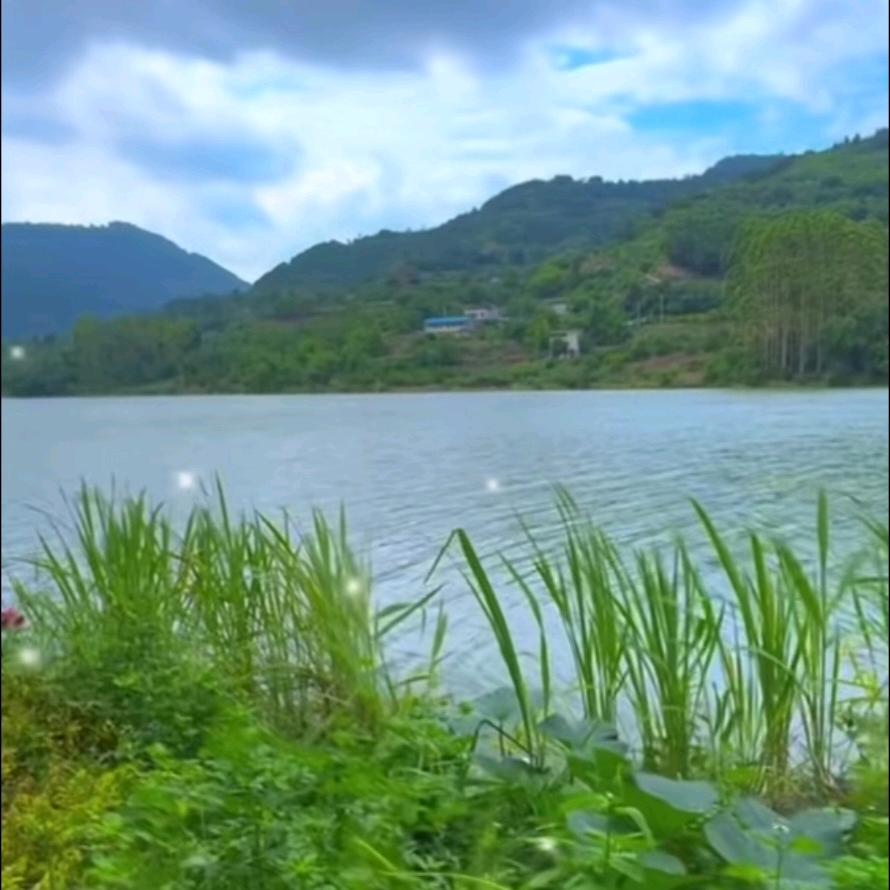 幸福一生