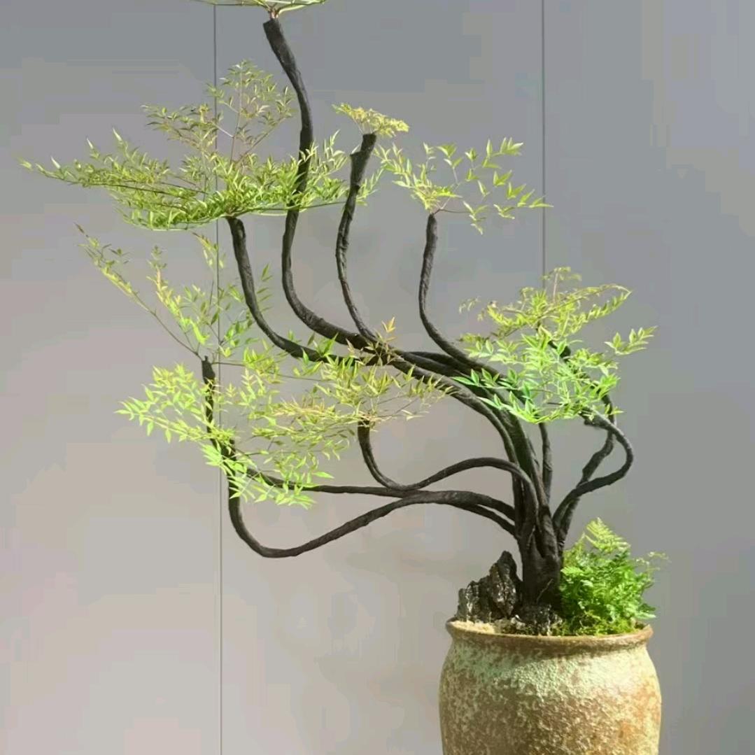 年年