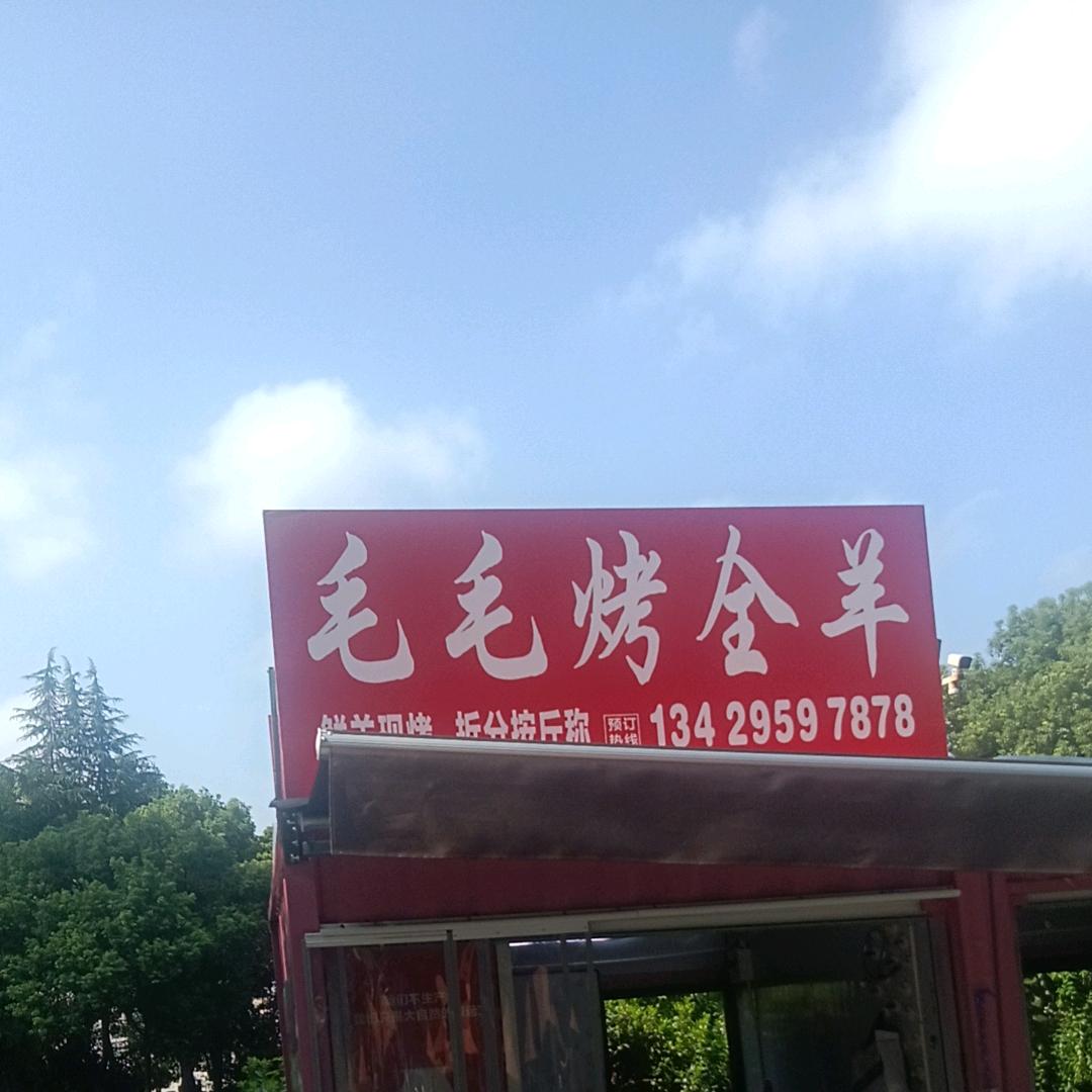 毛毛烤全羊-老哥