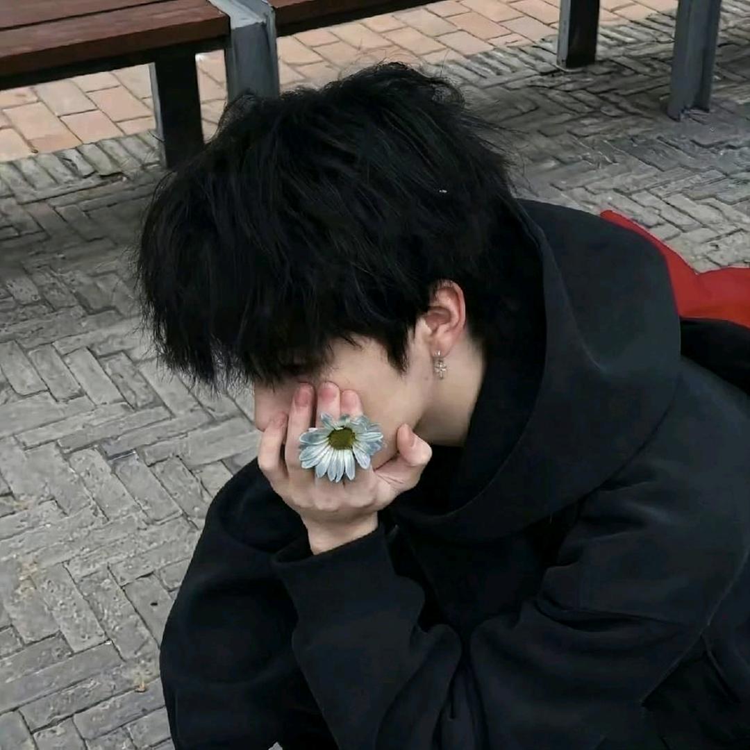 樹🌲（今晚吃什么）