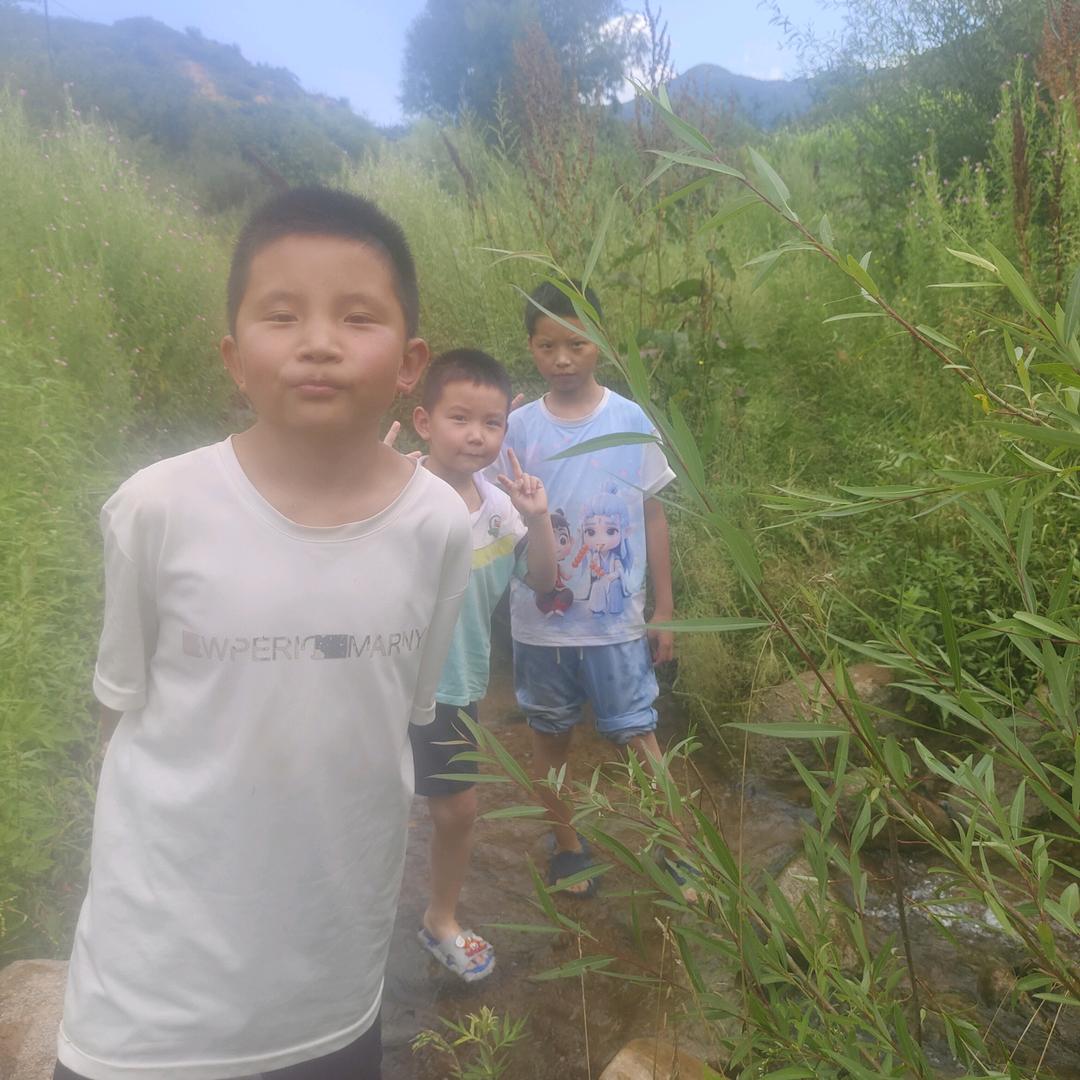 桂
