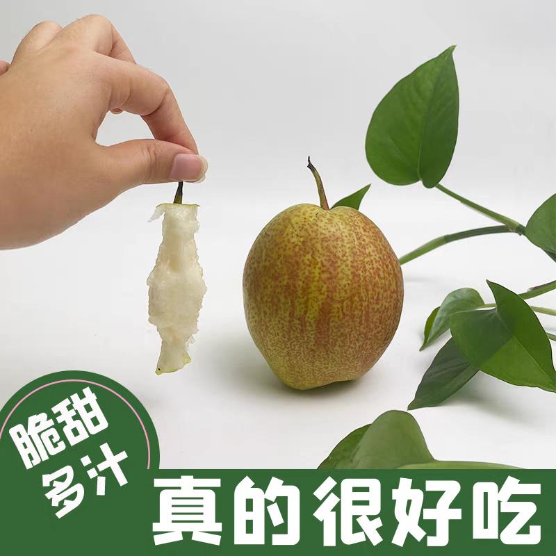 数字专场科技