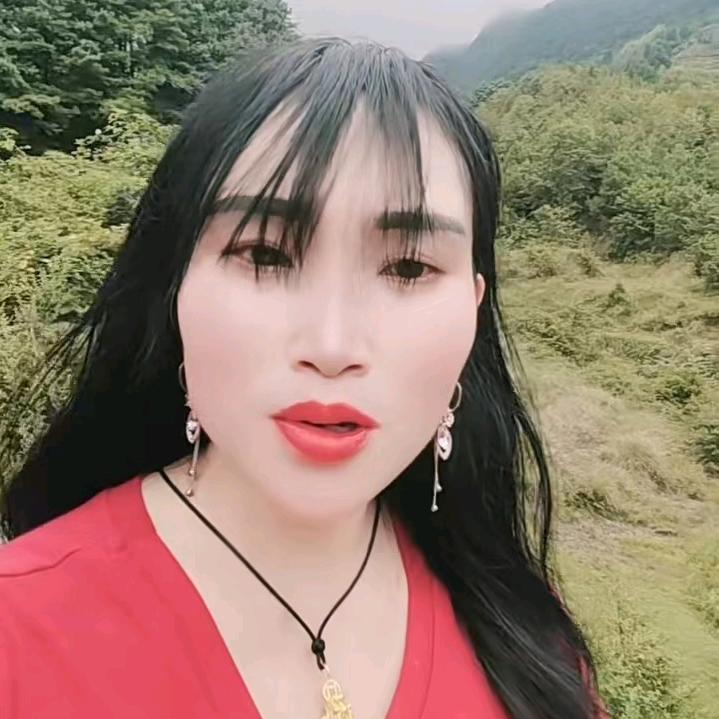 七六年的龙出来集合了