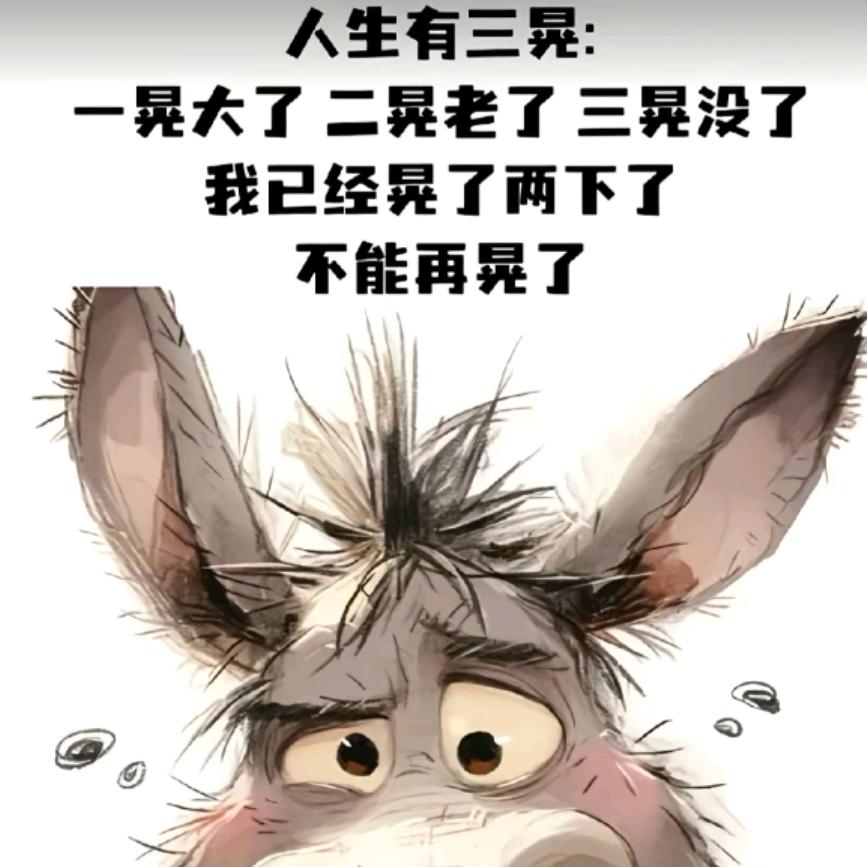 一个人挺好