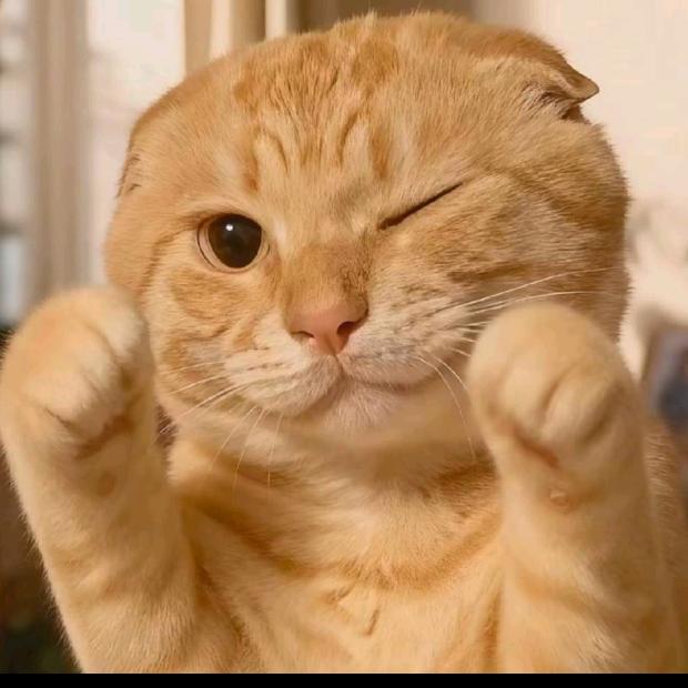 贝贝爱亲我屁股