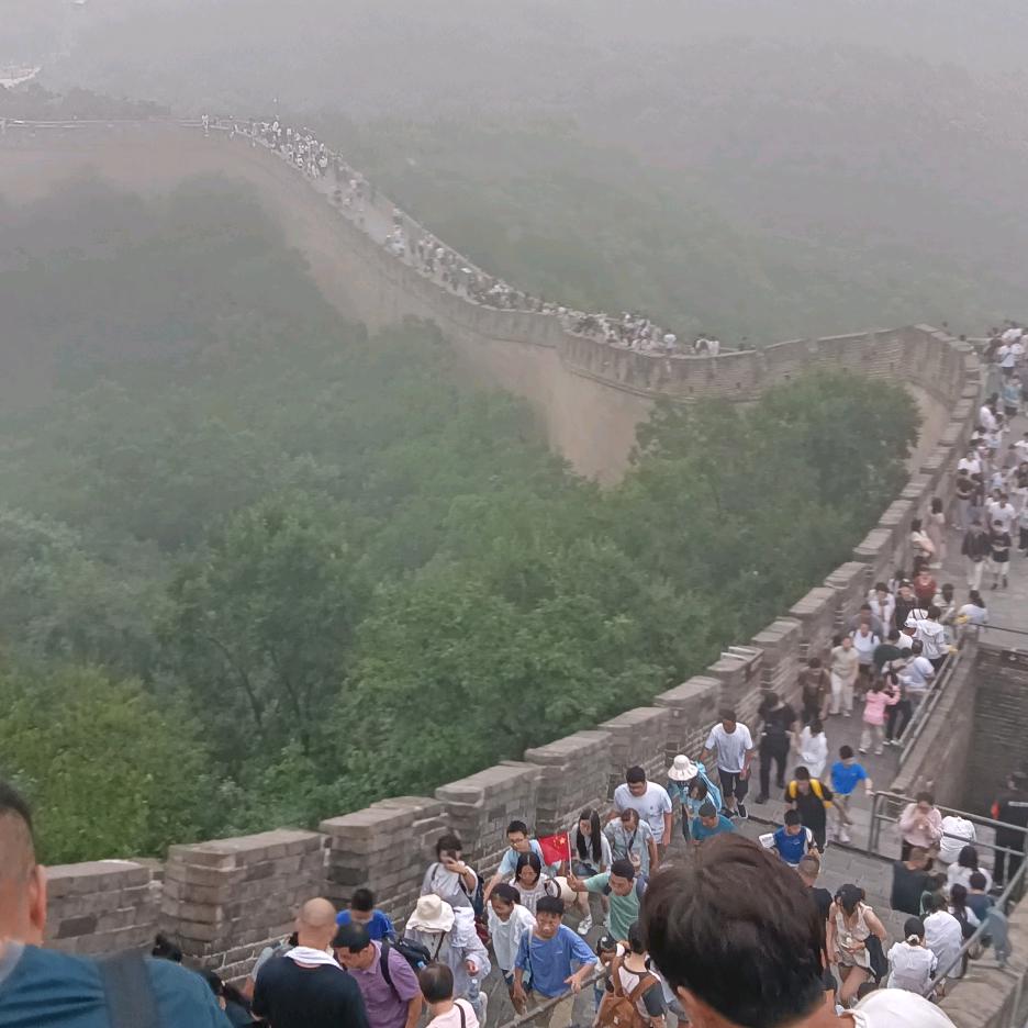 帝皇头像