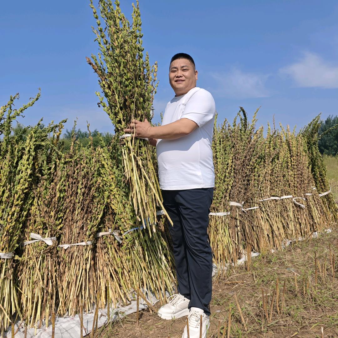 郑州熊叔推拿（收徒）