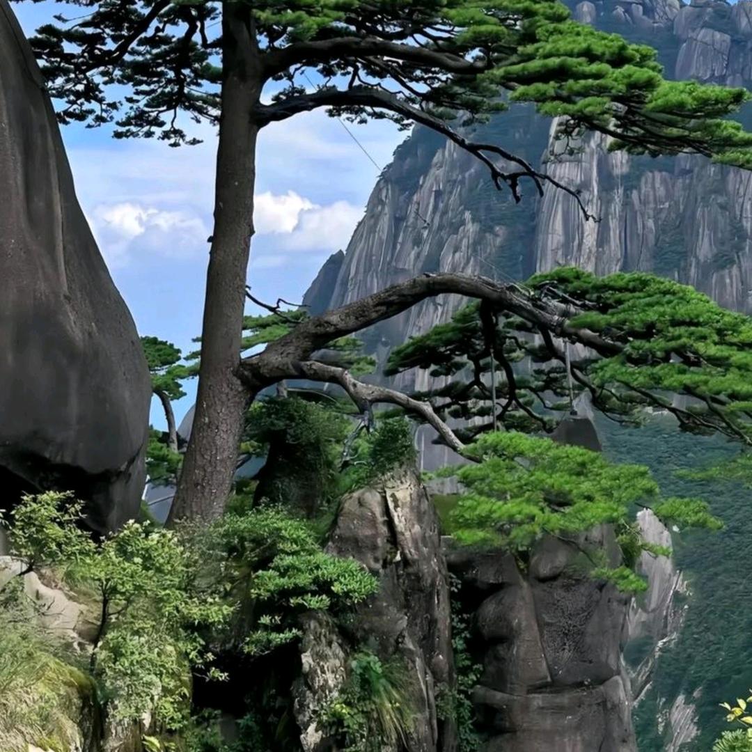 福如东海
