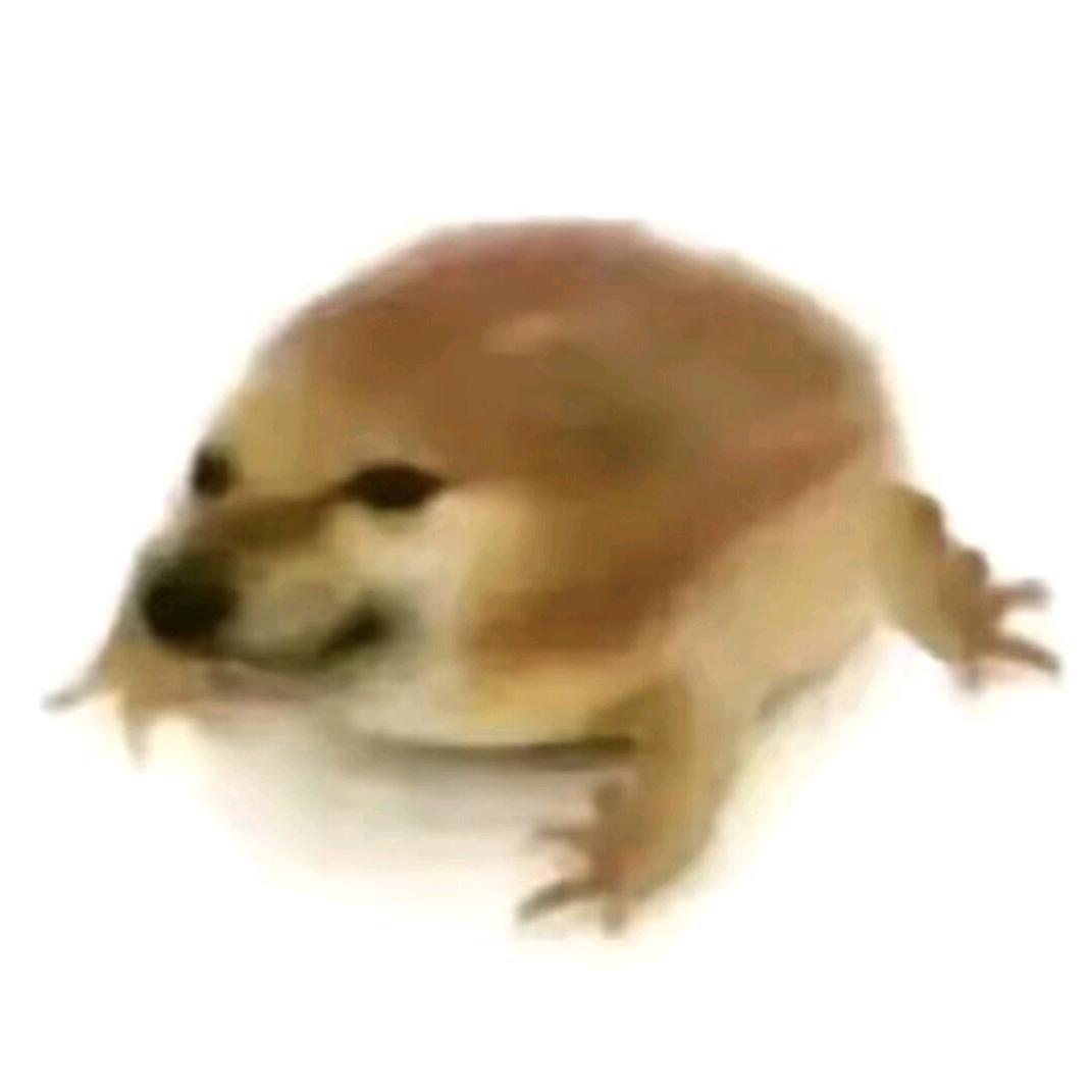 哆啦苟梦