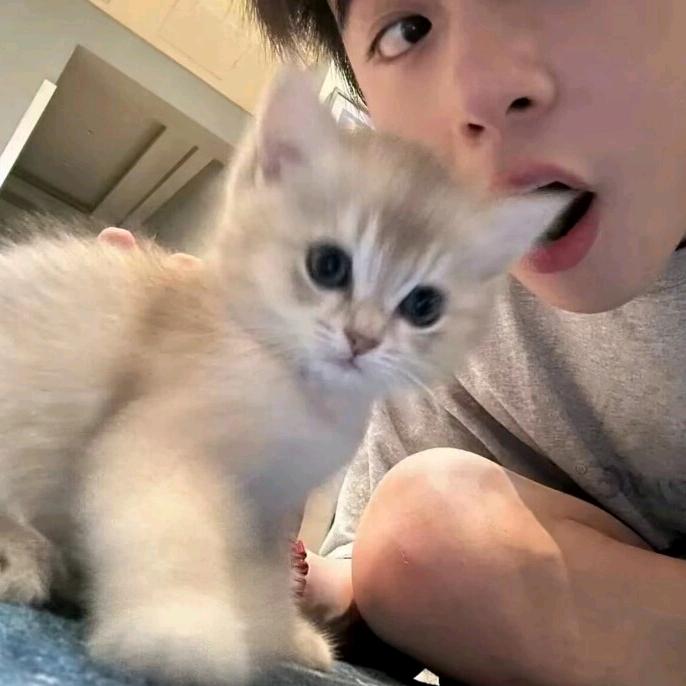 为你穿最美婚纱