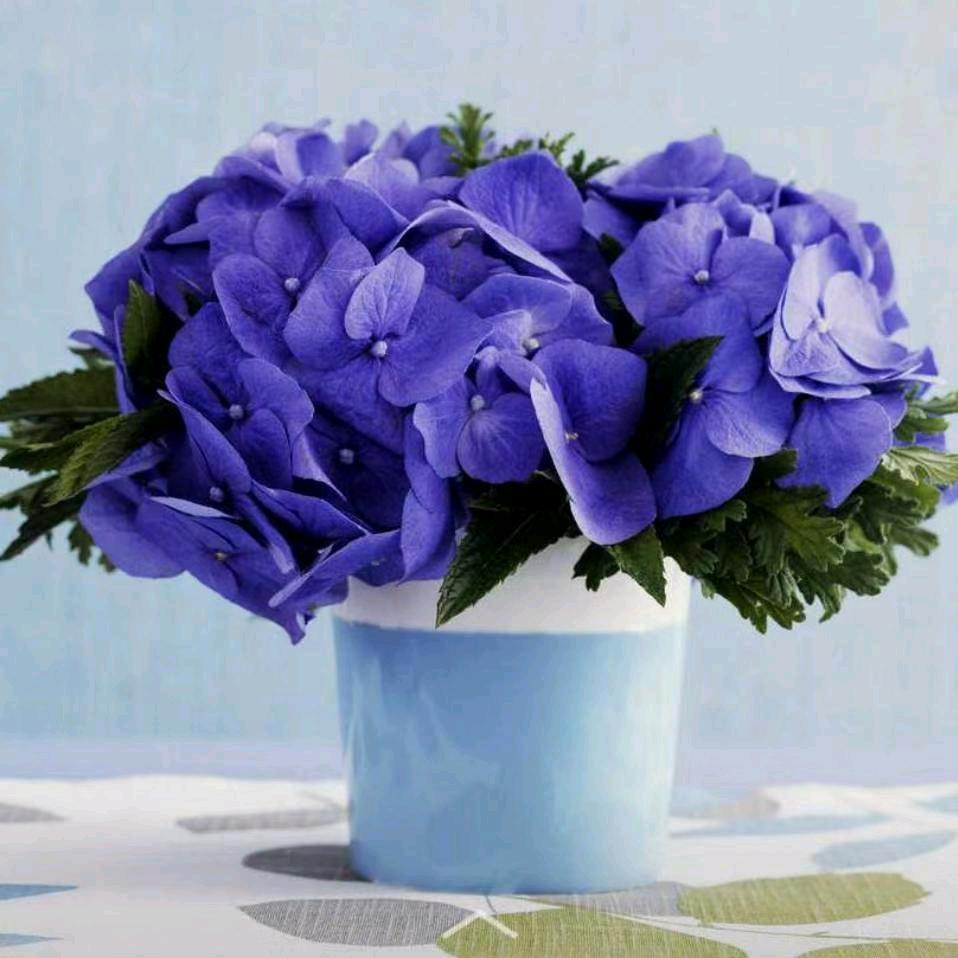 成都花花世界园艺有限公司