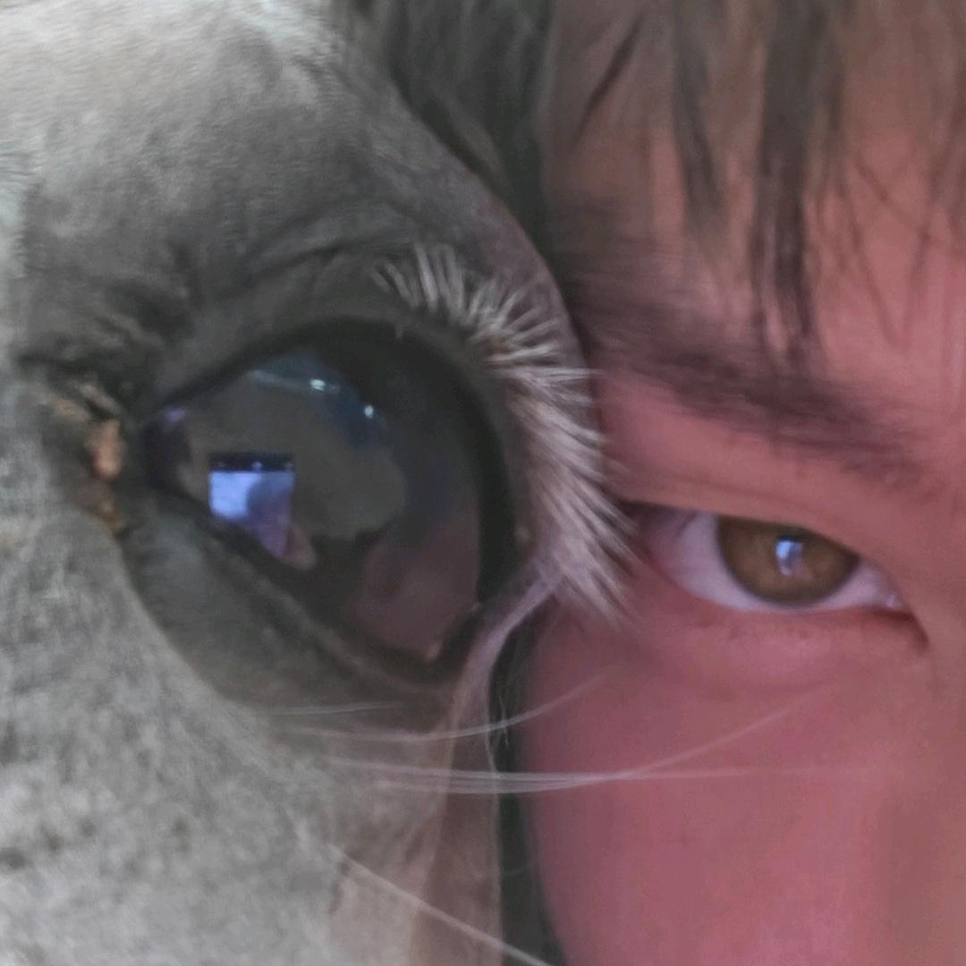 搞抽象斜刘海被打正