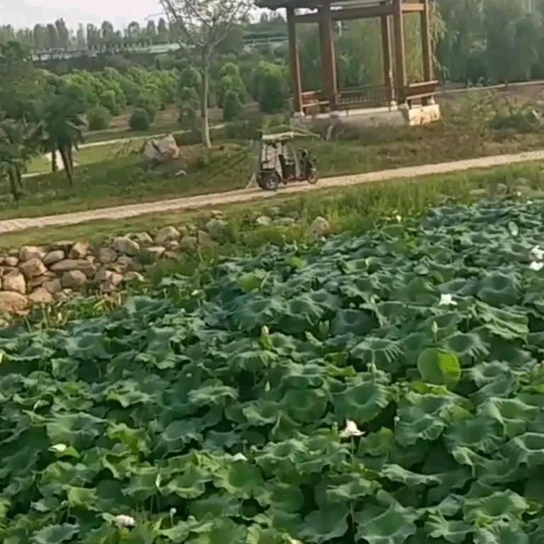 人生没有如果